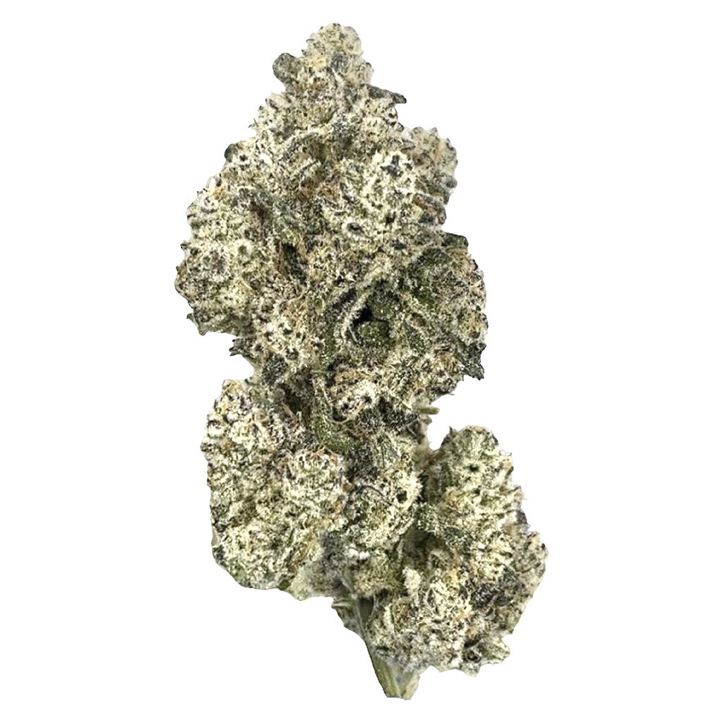 HighXotic - Royal Dive #5: Purple Zombie - Royal Dive #5: Purple Zombie 3.5g Dried Flower